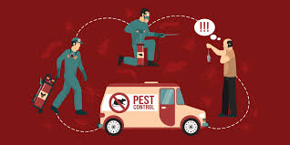 قالب حرفه ای وردپرس