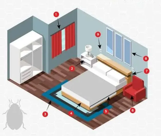 مکان های مخفی شدن ساس در خانه